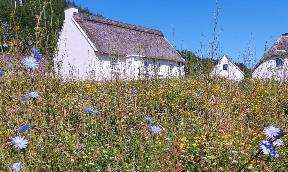 Corofin Lake Cottages ภายนอก รูปภาพ